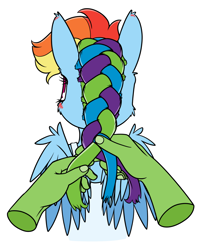 Size: 1046x1300 | Tagged: safe, artist:dacaoo, rainbow dash, oc, oc:anon, human, pegasus, pony, g4, alternate hairstyle, blushing, braiding, bust, disembodied hand, female, friendshipping, hand, mare, simple background, white background