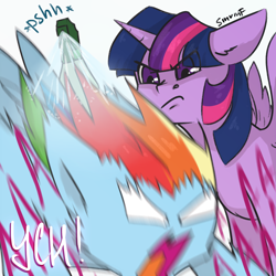 Size: 2480x2480 | Tagged: safe, artist:sinrinf, rainbow dash, twilight sparkle, alicorn, pegasus, pony, g4, commission, high res, screaming, sketch, spray, twilight sparkle (alicorn), your character here