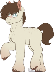 Size: 656x867 | Tagged: safe, artist:liefsong, oc, oc:chestnut, earth pony, pony, male, simple background, stallion, transparent background