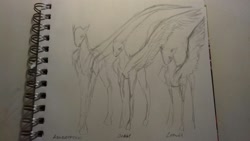 Size: 1632x918 | Tagged: safe, artist:kiwwsplash, oc, oc only, pegasus, pony, cyrillic, lineart, notepad, one wing out, pegasus oc, russian, text, traditional art, wings