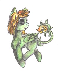 Size: 1330x1278 | Tagged: safe, artist:intfighter, oc, oc only, original species, plant pony, pony, augmented tail, looking back, plant, smiling, traditional art, wings