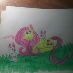 Size: 1080x1080 | Tagged: safe, artist:cheybonn_thunder, fluttershy, pegasus, pony, rabbit, g4, animal, female, grass, lying down, mare, missing wing, prone, traditional art