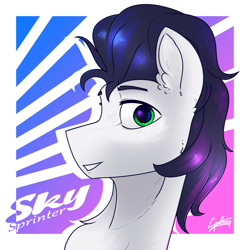 Size: 1920x1920 | Tagged: safe, artist:chebypattern, oc, oc only, oc:skysprinter, pony, abstract background, black mane, bust, commission, green eyes, not soarin, portrait, smiling, smiling at you, solo, white coat