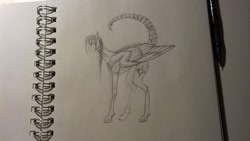 Size: 1632x918 | Tagged: safe, artist:kiwwsplash, oc, oc only, pegasus, pony, augmented tail, lineart, notebook, pegasus oc, pencil, scorpion tail, sketch, solo, traditional art, wings