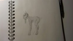 Size: 1632x918 | Tagged: safe, artist:kiwwsplash, oc, oc only, earth pony, pony, earth pony oc, lineart, notebook, pencil, sketch, solo, traditional art