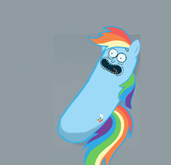 Size: 655x631 | Tagged: safe, rainbow dash, g4, meme, pickle rick, rick and morty