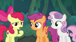 Size: 1920x1080 | Tagged: safe, screencap, apple bloom, scootaloo, sweetie belle, earth pony, pegasus, pony, unicorn, g4, the big mac question, cutie mark, cutie mark crusaders, the cmc's cutie marks