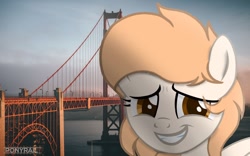 Size: 1280x800 | Tagged: safe, artist:ponyrailartist, oc, oc only, pegasus, pony, golden gate bridge, irl, pegasus oc, photo, ponies in real life, raffle prize, san francisco, show accurate, wings