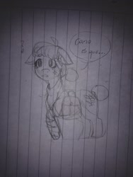 Size: 1536x2048 | Tagged: safe, artist:marydibuja, oc, oc only, oc:maylea, earth pony, pony, bag, earth pony oc, lineart, lined paper, saddle bag, solo, talking, traditional art