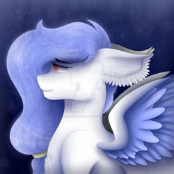 Size: 1280x1280 | Tagged: safe, artist:saladstarry, oc, oc only, pegasus, pony, bust, ear fluff, pegasus oc, solo, wings