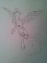 Size: 2448x3264 | Tagged: safe, artist:edhelistar, silverstream, hippogriff, g4, female, flying, frog (hoof), happy, high res, missing accessory, simple background, sketch, solo, spread wings, traditional art, underhoof, white background, wings