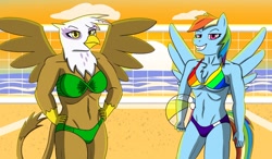 Size: 1280x747 | Tagged: safe, artist:deskmaniac, gilda, rainbow dash, griffon, pegasus, anthro, g4, abs, beach, belly button, bikini, breasts, clothes, duo, female, green bikini, grin, hand on hip, legs together, looking at you, mare, rainbow bikini, smiling, smirk, spread wings, sunset, swimsuit, twist bandeau, volleyball net, wings