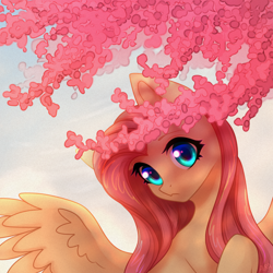 Size: 2000x2000 | Tagged: safe, artist:avrameow, fluttershy, pegasus, pony, g4, cherry blossoms, cherry tree, cute, female, flower, flower blossom, high res, mare, shyabetes, solo, tree