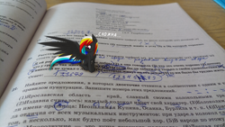 Size: 4096x2304 | Tagged: safe, artist:darky_wings, oc, oc only, oc:darky wings, pegasus, pony, book, cyrillic, micro, russian, school, wings