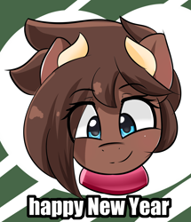 Size: 4304x5000 | Tagged: safe, artist:ribiruby, oc, oc only, oc:ruby big heart, earth pony, pony, abstract background, collar, cow horns, female, happy new year, head only, holiday, looking at you, mare, smiling, solo