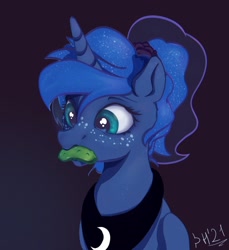 Size: 1992x2172 | Tagged: safe, artist:drafthoof, princess luna, alicorn, pony, g4, alternate hairstyle, bust, constellation freckles, cucumber, female, food, freckles, herbivore, mare, palindrome get, pickle, ponytail, portrait, simple background, solo