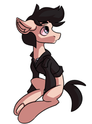 Size: 2399x3203 | Tagged: safe, artist:dodsie, oc, oc only, oc:lancer, pony, 2021 community collab, derpibooru community collaboration, high res, simple background, sitting, solo, transparent background