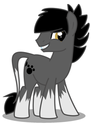 Size: 829x1127 | Tagged: safe, artist:amgiwolf, oc, oc only, earth pony, pony, coat markings, earth pony oc, grin, looking back, male, paw prints, simple background, smiling, socks (coat markings), stallion, transparent background