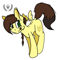 Size: 2380x2460 | Tagged: safe, artist:adilord, oc, oc only, oc:herm itachi, pegasus, pony, braid, cutie mark, floating wings, happy, high res, pegasus oc, simple background, smiling, solo, transparent background, wings
