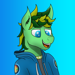 Size: 3000x3000 | Tagged: safe, artist:tacomytaco, oc, oc only, oc:taco.m.tacoson, pony, bust, clothes, gradient background, high res, hoodie, male, portrait, profile picture, shirt, smiling, solo