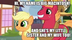 Size: 739x415 | Tagged: safe, edit, edited screencap, screencap, applejack, big macintosh, earth pony, pony, g4, where the apple lies, applecest, caption, female, incest, male, ship:applemac, shipping, stallion, straight, text