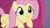 Size: 1280x720 | Tagged: safe, screencap, fluttershy, pegasus, pony, g4, my little pony: friendship is magic, season 9, sweet and smoky, cute, daaaaaaaaaaaw, duckface, female, shyabetes