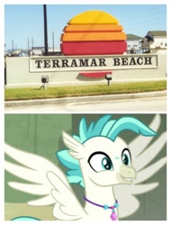 Size: 3106x4096 | Tagged: safe, terramar, hippogriff, g4, galveston, namesake, pun, texas, visual pun