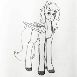 Size: 750x751 | Tagged: safe, artist:little_ms_sketch, oc, oc only, oc:dr.heart, clydesdale, pegasus, pony, male, smiling, stallion, traditional art, wings