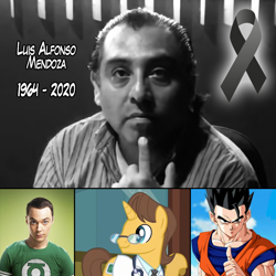 Size: 720x720 | Tagged: safe, edit, edited screencap, screencap, doctor horse, doctor stable, human, g4, dragon ball, dragon ball super, dragon ball z, green lantern, irl, irl human, jim parsons, latin american, luis alfonso mendoza, photo, rest in peace, sheldon cooper, son gohan, voice actor