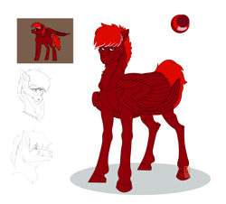 Size: 4000x3608 | Tagged: safe, artist:anelaponela, oc, oc only, pegasus, pony, ear fluff, looking at you, male, red eyes, reference, simple background, solo, wings