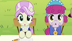 Size: 1920x1080 | Tagged: safe, screencap, mulberry silk, rosetta, earth pony, pony, brotherhooves social, g4, female, mare, stare