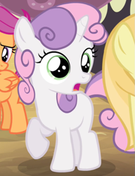 Size: 531x692 | Tagged: safe, screencap, noi, scootaloo, sweetie belle, earth pony, pegasus, pony, unicorn, g4, simple ways, appalled, banner, female, filly, folded wings, horseshoes, offscreen character, shocked, solo focus, sweetieshock, wings