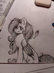 Size: 1024x1366 | Tagged: safe, artist:dreamy990, fluttershy, pegasus, pony, g4, black and white, eraser, grayscale, monochrome, pen, solo, traditional art