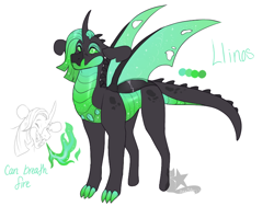Size: 800x600 | Tagged: safe, artist:arexstar, oc, oc only, oc:llinos, dragonling, hybrid, pony, interspecies offspring, magical gay spawn, offspring, parent:spike, parent:thorax, parents:thoraxspike, simple background, solo, white background