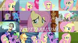 Size: 1974x1109 | Tagged: safe, edit, edited screencap, editor:quoterific, screencap, applejack, discord, fluttershy, pinkie pie, rainbow dash, spike, twilight sparkle, alicorn, draconequus, pegasus, pony, filli vanilli, flutter brutter, g4, hurricane fluttershy, it ain't easy being breezies, maud pie (episode), scare master, suited for success, the super speedy cider squeezy 6000, the ticket master, to where and back again, blushing, cute, cuteness overload, daaaaaaaaaaaw, hug, shyabetes, twilight sparkle (alicorn), twilight's castle