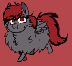 Size: 422x390 | Tagged: safe, artist:katiex-factor, oc, oc:dicemare, pegasus, pony, adorable face, chest fluff, colored sketch, cute, digital art, fluffy, funny face, silly, silly face, sketch, wings