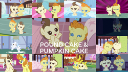 Size: 1968x1109 | Tagged: safe, edit, edited screencap, editor:quoterific, screencap, pound cake, pumpkin cake, pegasus, pony, unicorn, 28 pranks later, a flurry of emotions, a friend in deed, baby cakes, g4, it isn't the mane thing about you, on your marks, the last problem, baby, baby pony, bipedal, collage, cookie zombie, crib, crossed hooves, cute, diaper, flour, magic, older, older pound cake, older pumpkin cake, open mouth, poundabetes, pumpkinbetes, rainbow muzzle, smiling, sugarcube corner, telekinesis, the magic of friendship grows