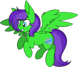 Size: 1052x900 | Tagged: safe, artist:notetaker, oc, oc only, oc:raulix evergreen, pegasus, pony, green body, grin, gritted teeth, male, purple hair, simple background, smiling, solo, transparent background, wings