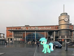 Size: 1008x764 | Tagged: safe, lyra heartstrings, pony, g4, 's-hertogenbosch, irl, netherlands, north brabant, photo, ponies in real life