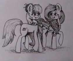 Size: 3578x2961 | Tagged: safe, artist:dreamy990, coco pommel, fluttershy, pony, g4, high res, monochrome, traditional art