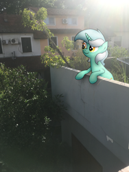 Size: 3024x4032 | Tagged: safe, artist:background basset, lyra heartstrings, pony, unicorn, g4, bipedal, bipedal leaning, female, house, irl, leaning, photo, ponies in real life, real life background, solo, tree