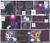 Size: 3000x2563 | Tagged: safe, artist:thebadfaerie, applejack, rarity, scootaloo, sweetie belle, twilight sparkle, oc, changeling, earth pony, pegasus, pony, unicorn, comic:shadows of the past, g4, my little pony: friendship is magic, the ending of the end, comic, crying, glowing horn, high res, horn, open mouth, speech bubble, tears of pain