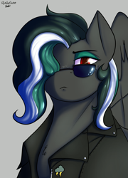Size: 1289x1791 | Tagged: safe, artist:flashnoteart, oc, oc only, oc:messer, pegasus, pony, bust, clothes, commission, female, glasses, jacket, leather jacket, portrait, red eyes, serious, solo