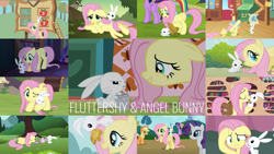 Size: 1974x1111 | Tagged: safe, edit, edited screencap, editor:quoterific, screencap, angel bunny, applejack, fluttershy, owlowiscious, rainbow dash, rarity, twilight sparkle, alicorn, pony, a trivial pursuit, dragonshy, fall weather friends, g4, hurricane fluttershy, may the best pet win, putting your hoof down, she talks to angel, the ticket master, too many pinkie pies, yakity-sax, gala ticket, golden oaks library, twilight sparkle (alicorn)