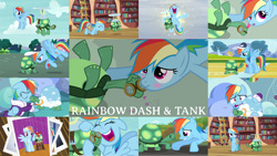 Size: 1280x722 | Tagged: safe, edit, edited screencap, editor:quoterific, screencap, rainbow dash, tank, pegasus, pony, tortoise, g4, just for sidekicks, may the best pet win, tanks for the memories, blushing, coach rainbow dash, female, golden oaks library, male, mare