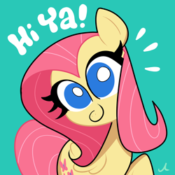 Size: 1500x1500 | Tagged: safe, artist:docwario, fluttershy, pegasus, pony, g4, cute, dialogue, female, looking at you, mare, no pupils, shyabetes, simple background, smiling, solo, teal background, text