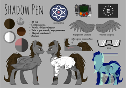 Size: 13527x9406 | Tagged: safe, artist:alrumoon_art, oc, oc only, oc:shadow pan, pegasus, pony, fallout equestria, absurd resolution, clothes, enclave, male, pipbuck, reference sheet, scientist, solo