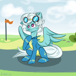 Size: 4000x4000 | Tagged: safe, artist:silverfir, fleetfoot, pegasus, pony, g4, clothes, cloudsdale, commission, commissioner:fleetfoot, female, flag, goggles, happy, mare, raised hoof, signature, sitting, smiling, solo, spread wings, training, uniform, wings, wonderbolts, wonderbolts uniform