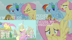 Size: 2000x1125 | Tagged: safe, edit, edited screencap, editor:quoterific, screencap, dinky hooves, fluttershy, millie, rainbow dash, flutter brutter, g4, peeved
