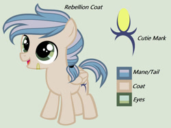 Size: 1280x956 | Tagged: safe, artist:lominicinfinity, oc, oc only, oc:rebellion coat, pegasus, pony, colt, male, reference sheet, simple background, solo